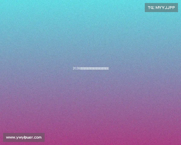 2026世界杯赛程与关键时间节点全面解析与预测